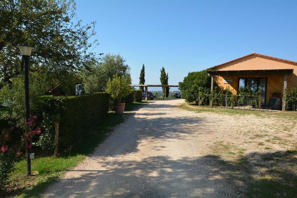 Agriturismo Podere L'Aione Scansano Exterior photo