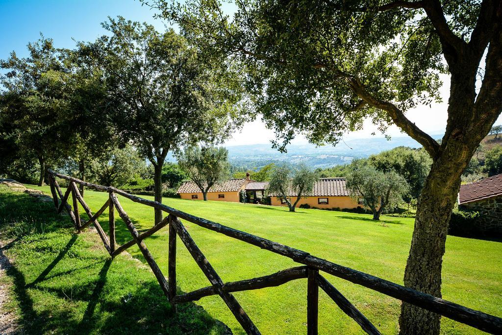 Agriturismo Podere L'Aione Scansano Exterior photo